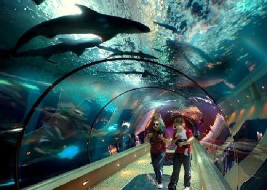 夏季风经济汽车旅馆 纽波特 外观 照片